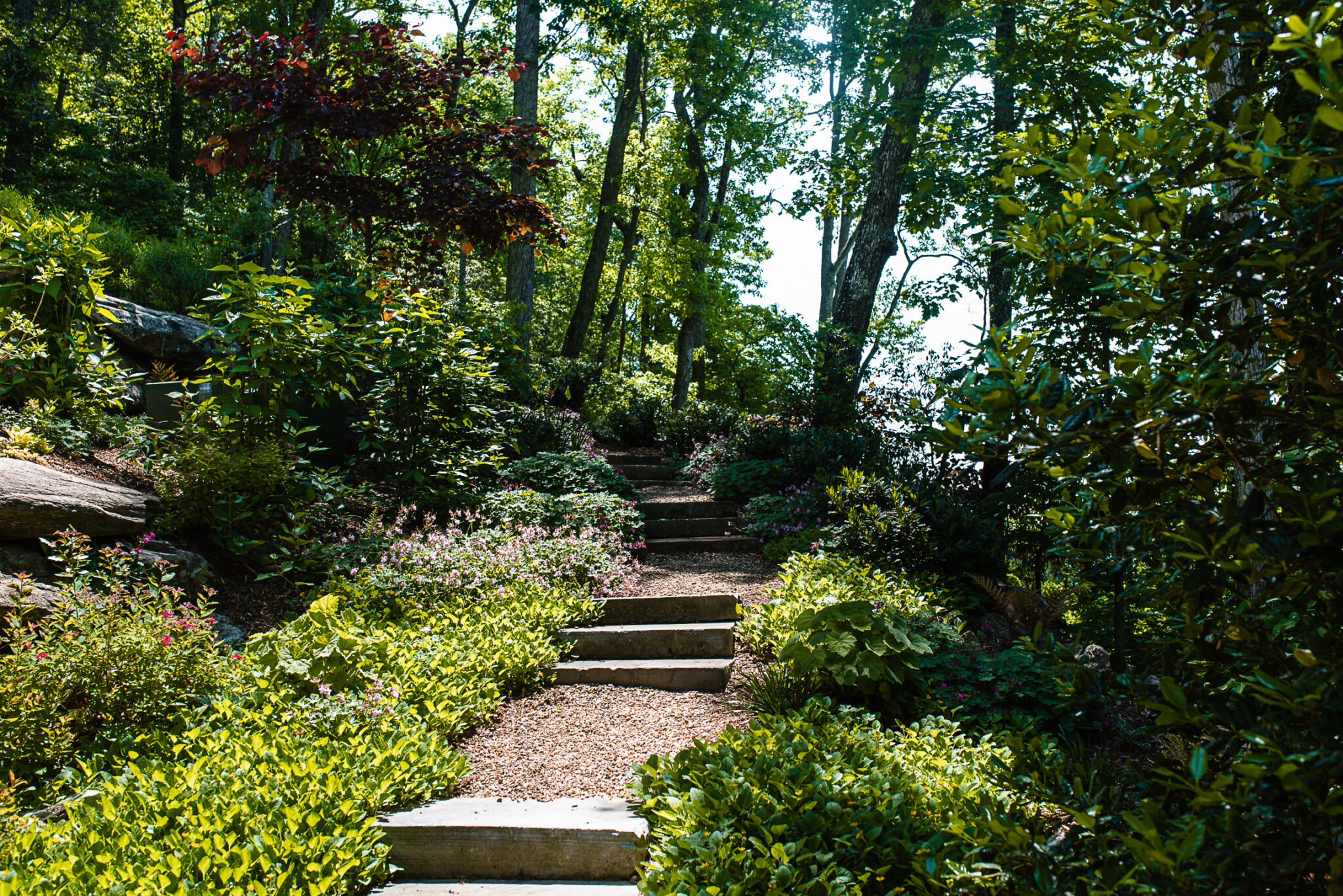 Walnut Cove Gardens for Living
